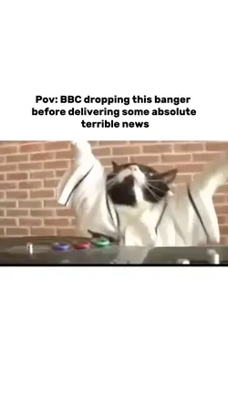 Funny meme video 