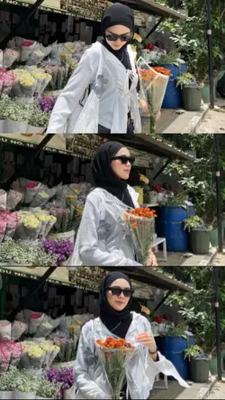3 pict