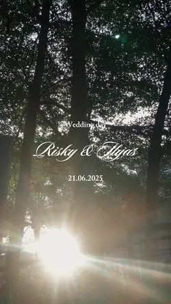 Wedding Dream
