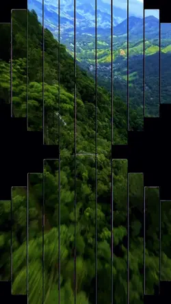 4 video or picture 