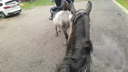 zwykły edit
