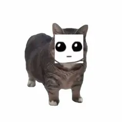 친구에게 보내세유