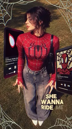 spider 