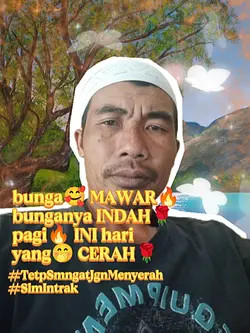 bunga mawar bunganya