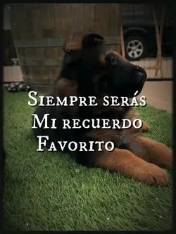 Mi recuerdo favorito