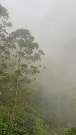 kaibigan