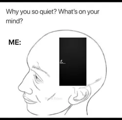 Why you so quiet?