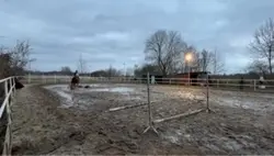 Free Szablonik