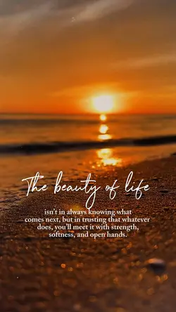 Beauty of Life
