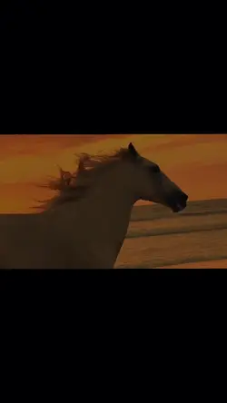 Cinematic transition