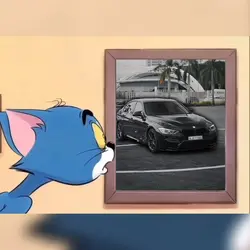 Tom Picture•Car Edit