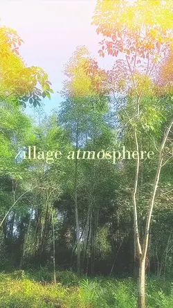 village atmosphere 