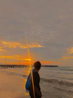 filter senja