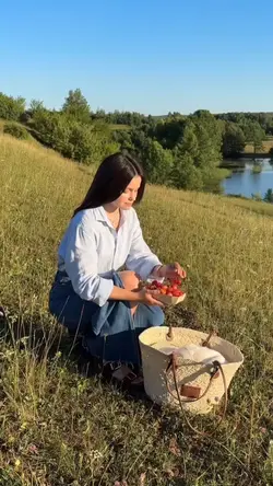 summer picnic