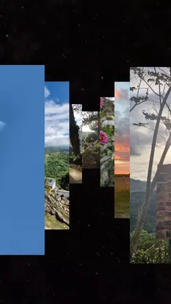 3d camera