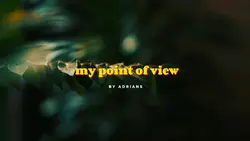my point of view 