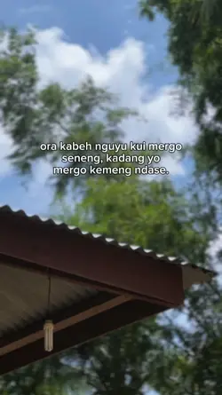 story wa |