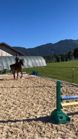 Showjumping 