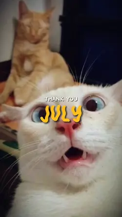 JULY DUMP