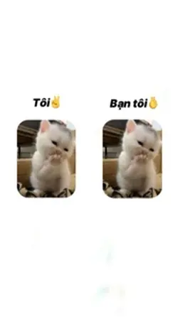 Tôi và bạn tôi