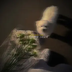 봄 내음보다 너를