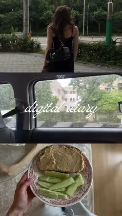 digital diary 