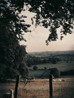 Castle|nature 