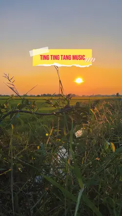 Ting ting tang music