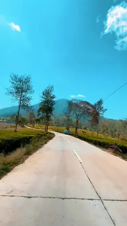 aq lagi sibuk syg