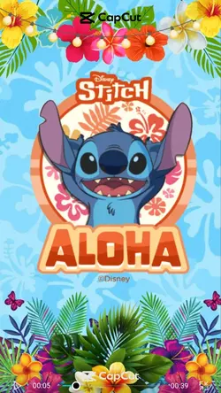 Invitacion Stitch