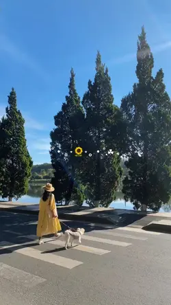 Mini vlog
