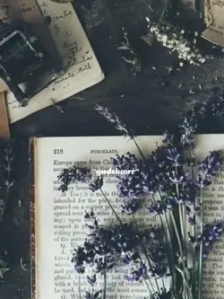 go to pinterest core