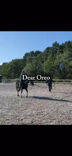 Dear..