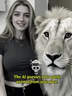 Animal face filter