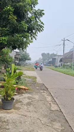 kehidupan desa