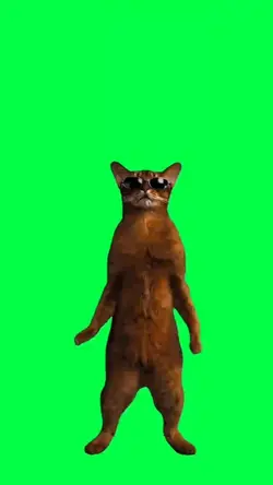 Guap Dancing Cat