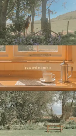 Moments overlay grid