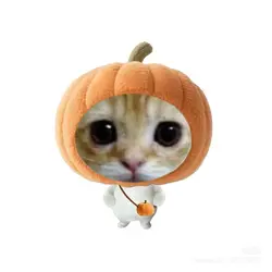 pumpkin 🎃