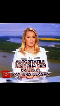 BLEEZ TARABANELE