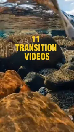 11 TRANSITION VIDEOS