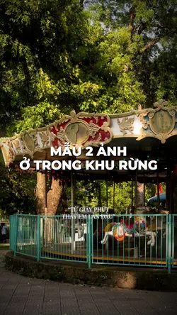 Ở TRONG KHU RỪNG