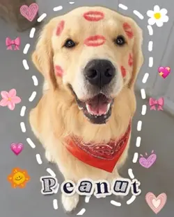 Doggy
