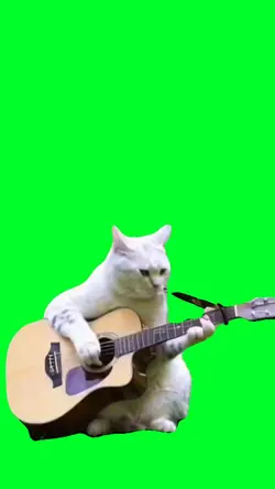 Guitar Cat