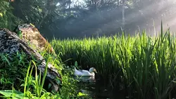 Landscape Cinematic 