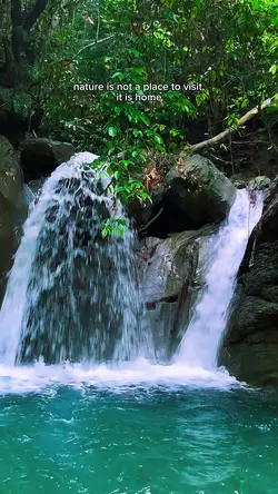 Nature trip🍃