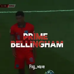 Free bellingham edit
