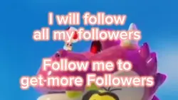 +1 Follower