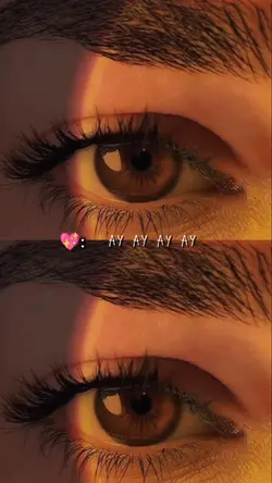 Ayayay
