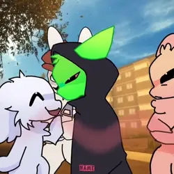 ANIMAL HOSPITAL