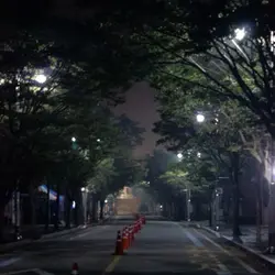 이런 감성 진짜 넘 좋음